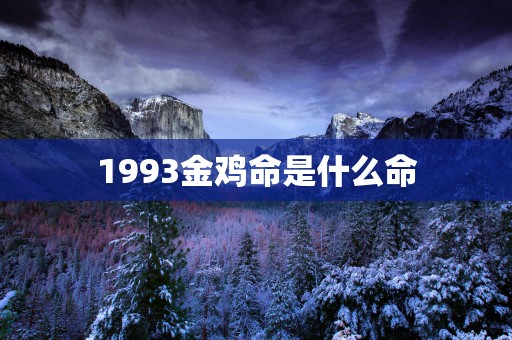 1993金鸡命是什么命
