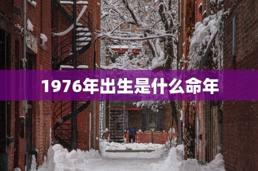 1976年出生是什么命年