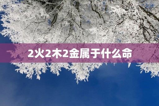 2火2木2金属于什么命