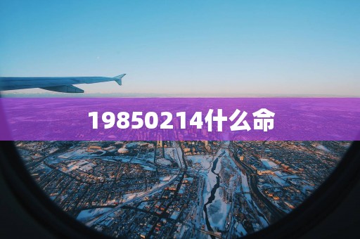 19850214什么命