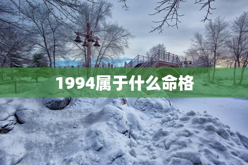 1994属于什么命格