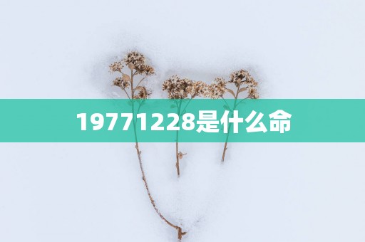 19771228是什么命