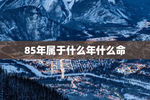 85年属于什么年什么命