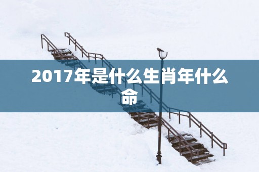 2017年是什么生肖年什么命