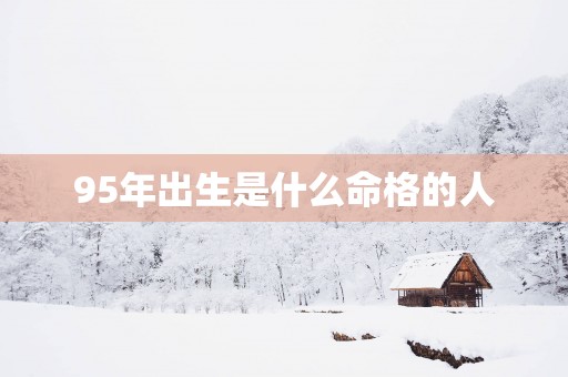 95年出生是什么命格的人