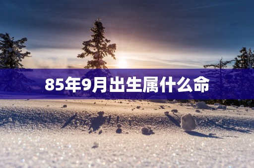85年9月出生属什么命