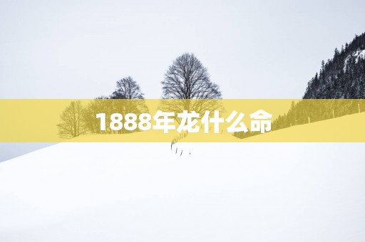 1888年龙什么命