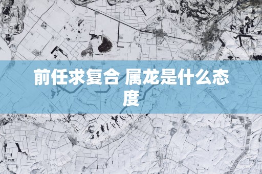 前任求复合 属龙是什么态度