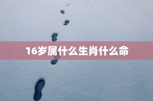 16岁属什么生肖什么命