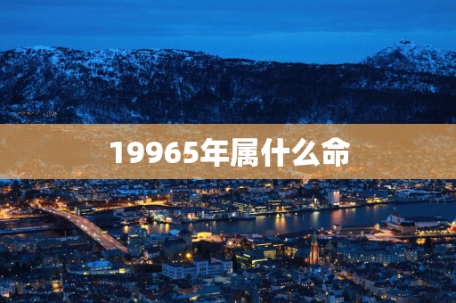 19965年属什么命