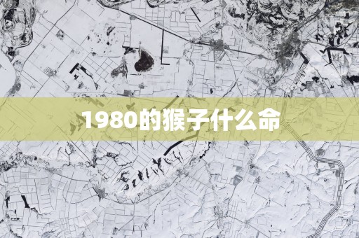 1980的猴子什么命