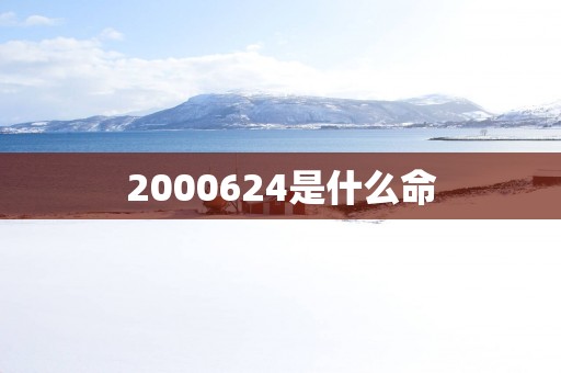 2000624是什么命