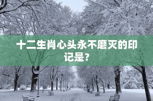 十二生肖心头永不磨灭的印记是？