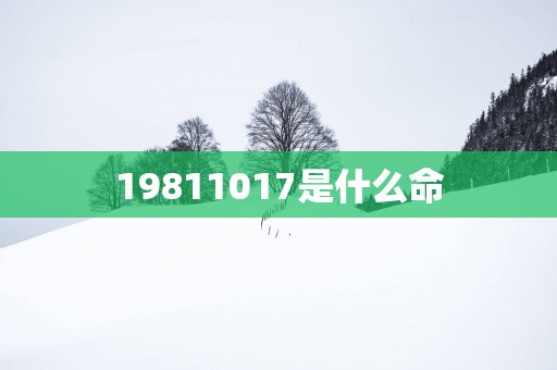 19811017是什么命