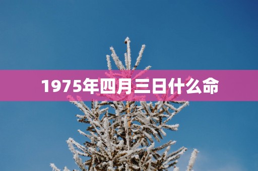 1975年四月三日什么命
