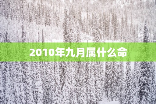 2010年九月属什么命
