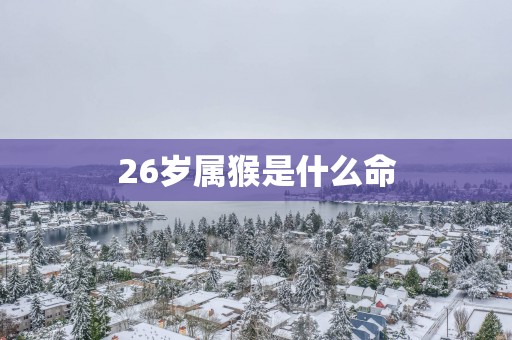 26岁属猴是什么命