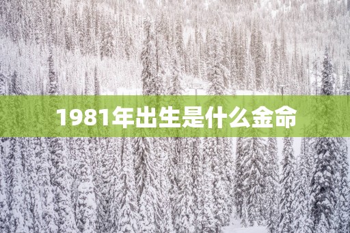 1981年出生是什么金命