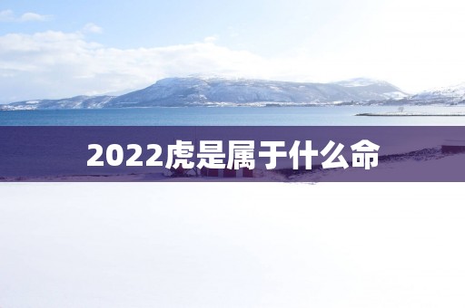 2025虎是属于什么命