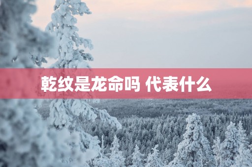 乾纹是龙命吗 代表什么