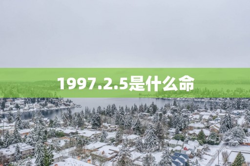 1997.2.5是什么命