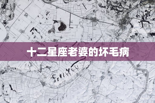 十二星座老婆的坏毛病