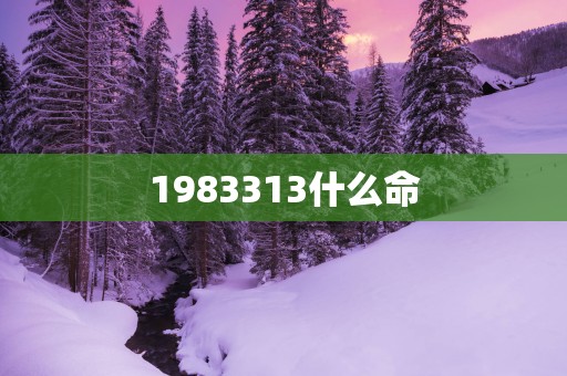 1983313什么命