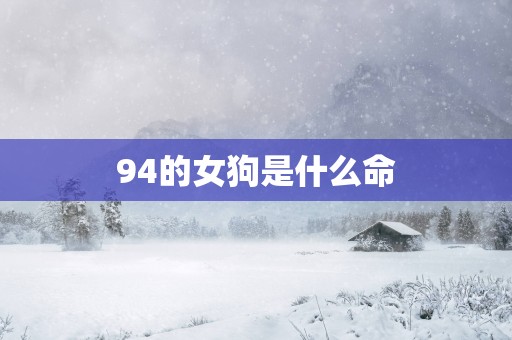 94的女狗是什么命