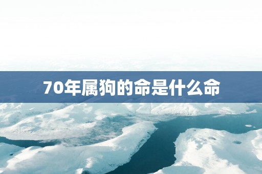 70年属狗的命是什么命
