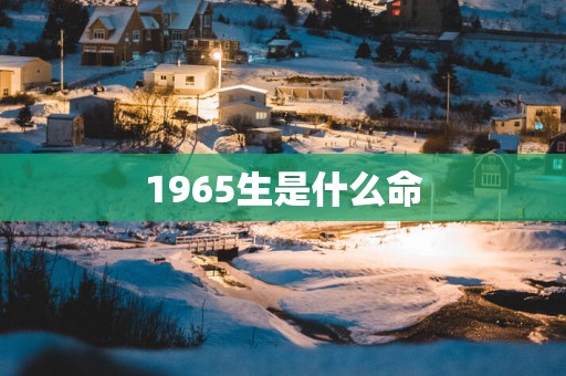 1965生是什么命