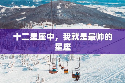 十二星座中，我就是最帅的星座