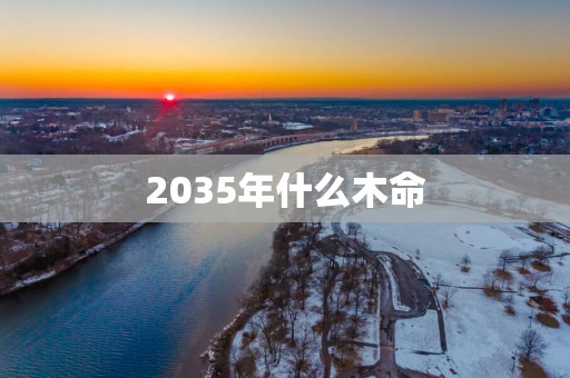 2035年什么木命