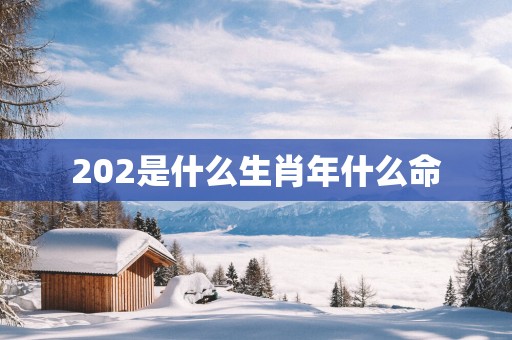 202是什么生肖年什么命