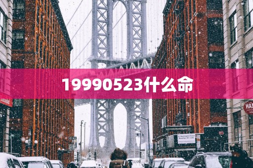 19990523什么命