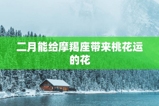 二月能给摩羯座带来桃花运的花 二月能给摩羯座带来桃花运的花