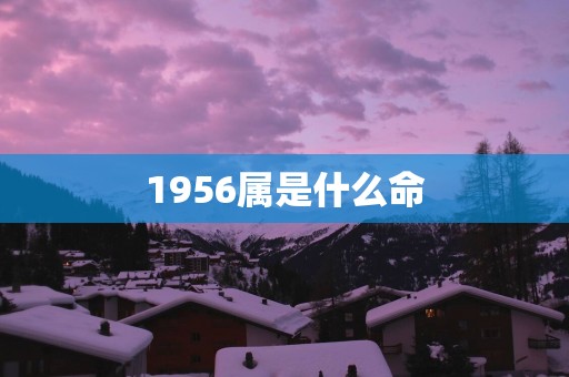1956属是什么命