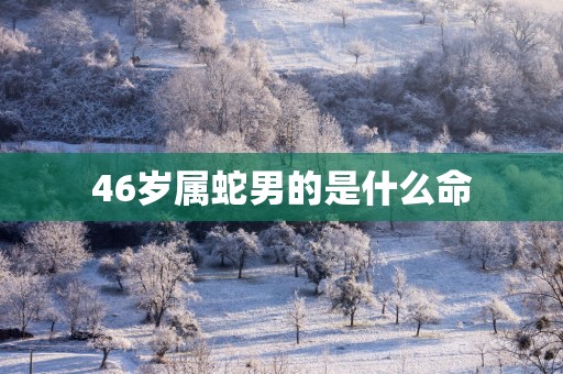 46岁属蛇男的是什么命