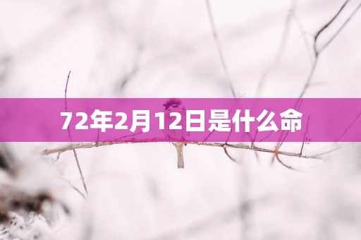 72年2月12日是什么命
