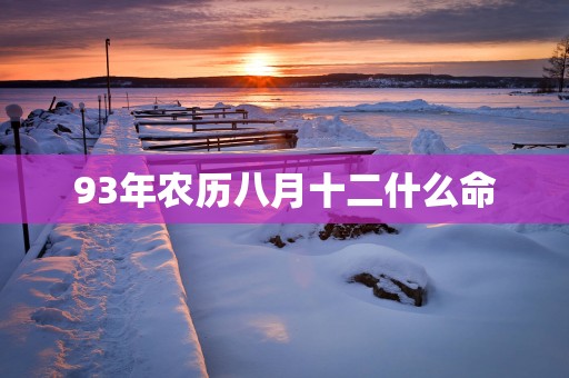 93年农历八月十二什么命