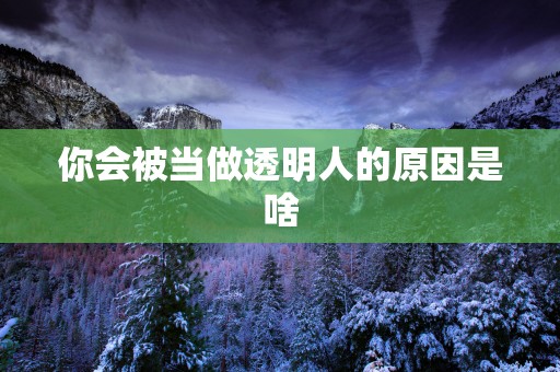 你会被当做透明人的原因是啥