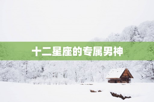 十二星座的专属男神