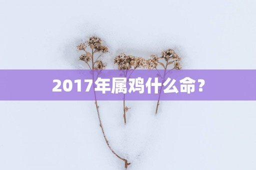 2017年属鸡什么命？