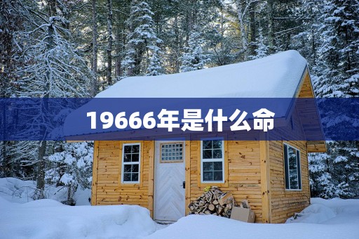 19666年是什么命