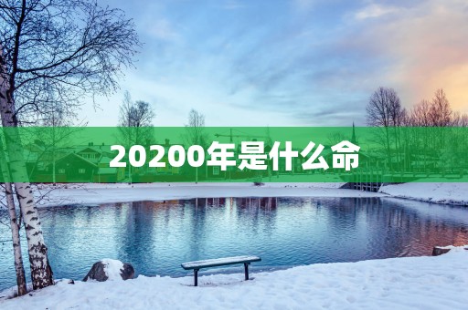 20250年是什么命
