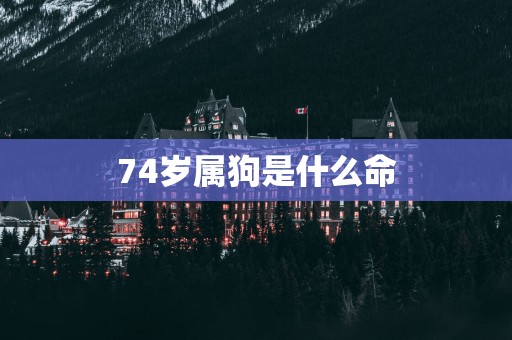 74岁属狗是什么命