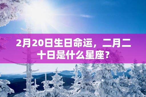 2月20日生日命运，二月二十日是什么星座？