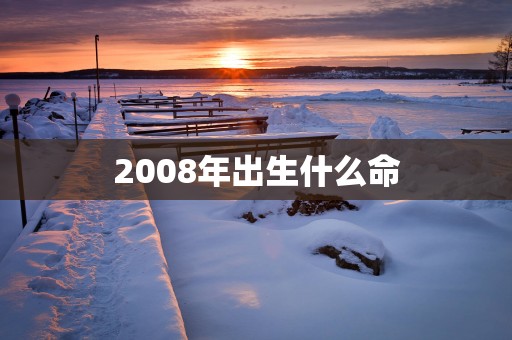 2008年出生什么命