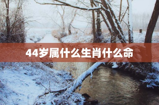 44岁属什么生肖什么命