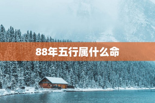 88年五行属什么命