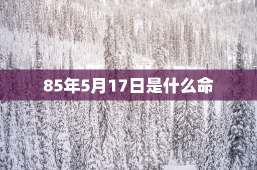 85年5月17日是什么命